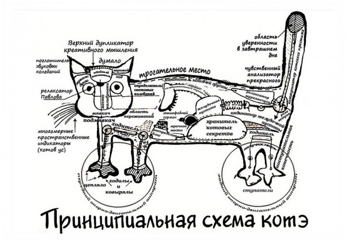 Принципиальная схема котэ.jpg