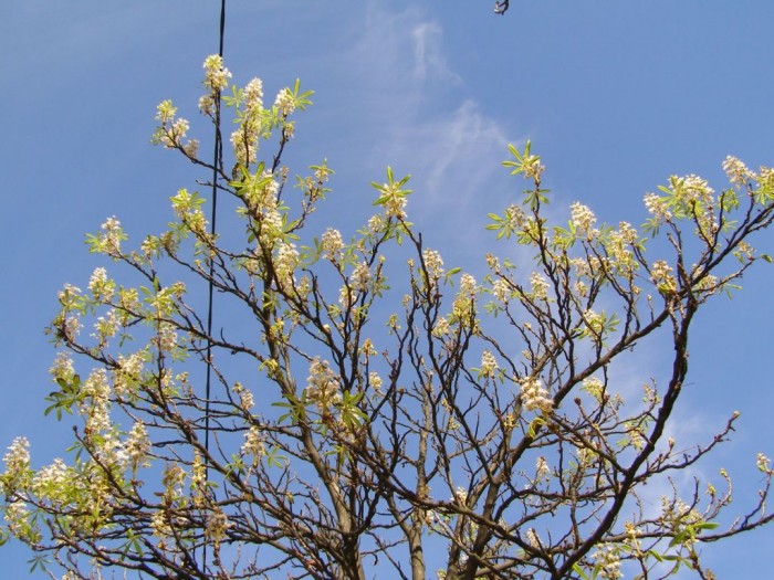 P1010177.JPG
