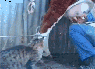 1310562625_animals_25.gif