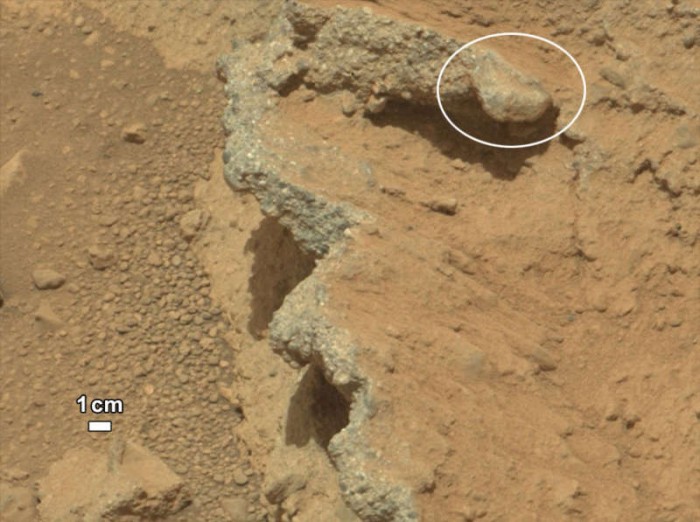 streambank_curiosity_960.jpg