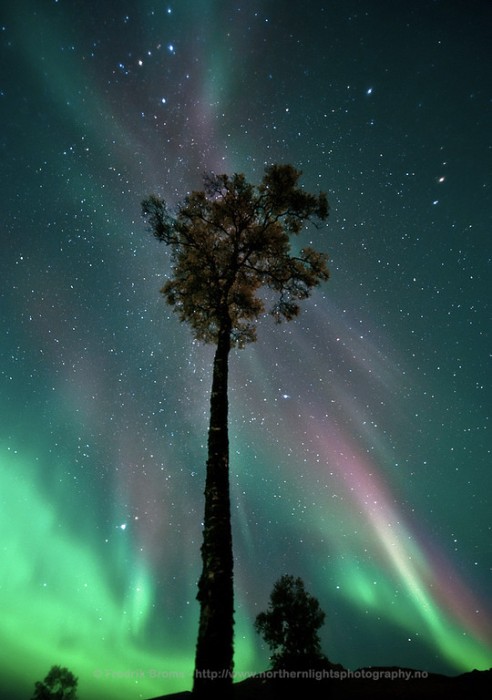 aurora2012sep20v2XLbroms.jpg