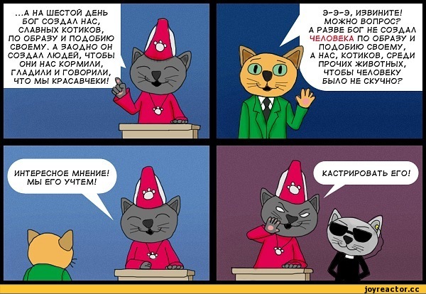 котэ-134793.jpeg