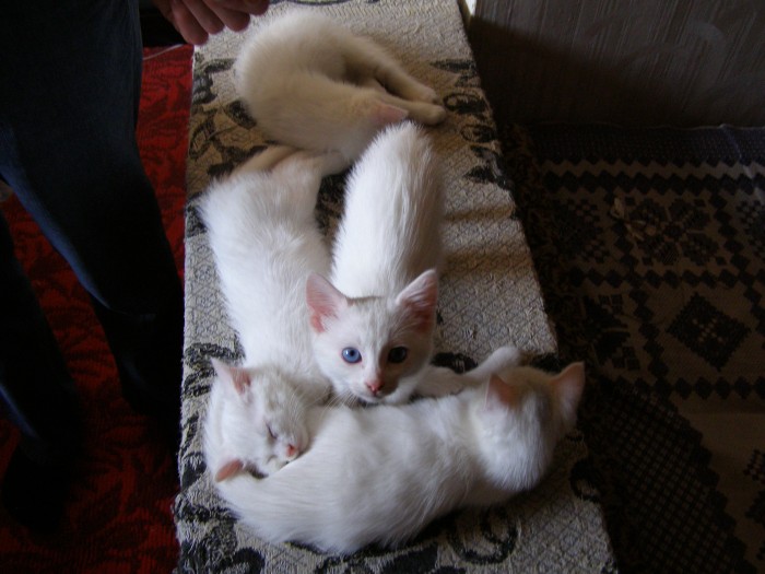 P1010001.JPG