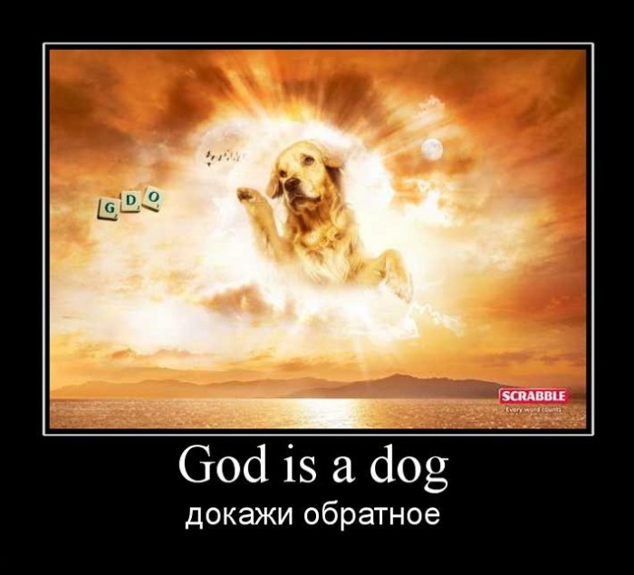 551454_god-is-a-dog.jpg