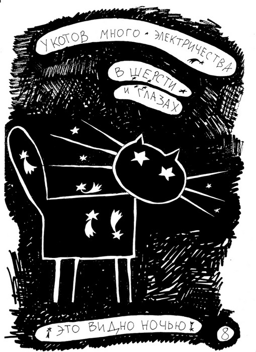 1255522793_cat_009.jpg
