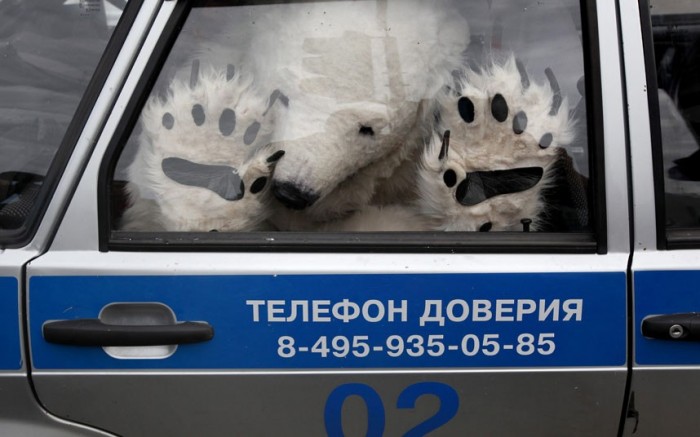 polar-bear-arreste_2330601k.jpg