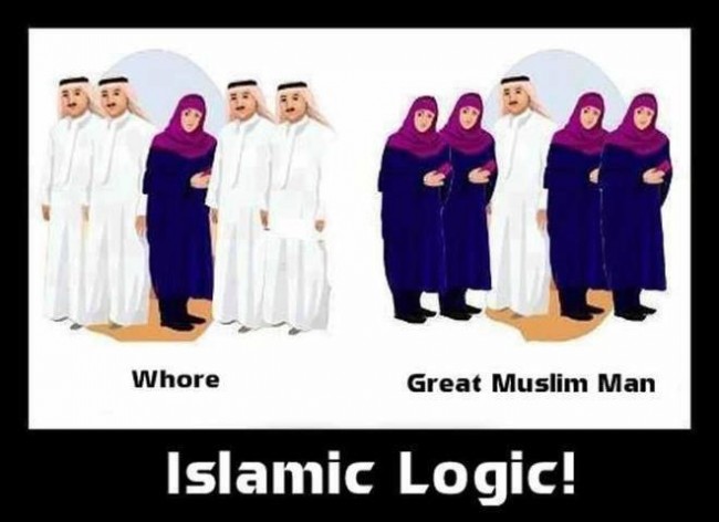 056-Islam-Logic-650x472.jpg