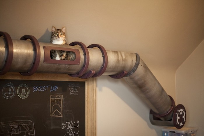 котэ-steampunk-512489.jpeg