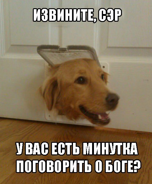 Пес-дверь-бог-религия-636698.jpeg