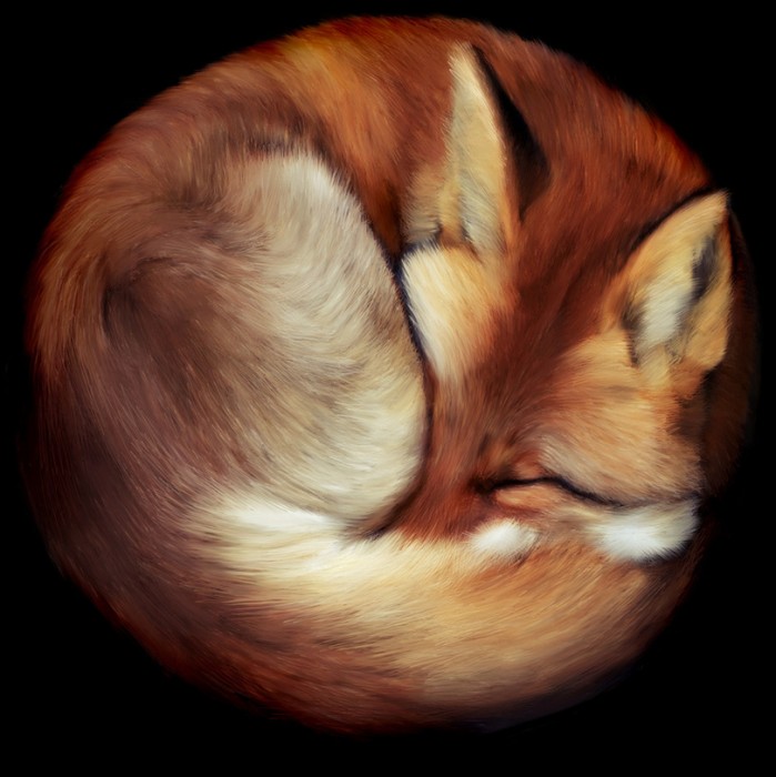 art-firefox-471132.jpeg