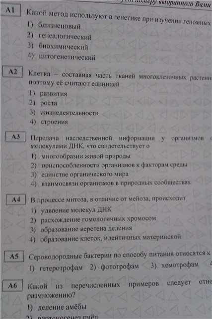 a1387b47c2d8[1].jpg