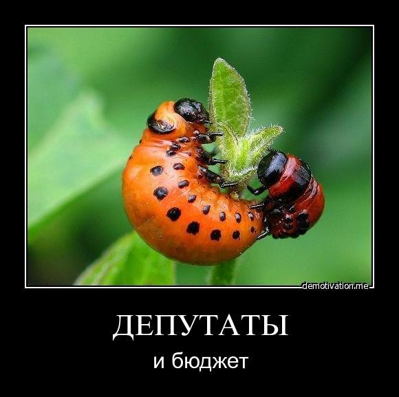 7m2tMCevpg8.jpg