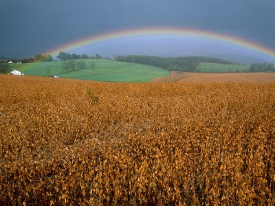 Rainbow-58.jpg