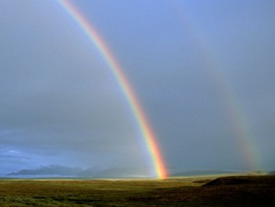 Rainbow-59.jpg