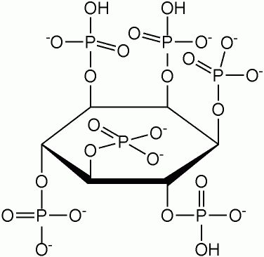 phytate.jpg