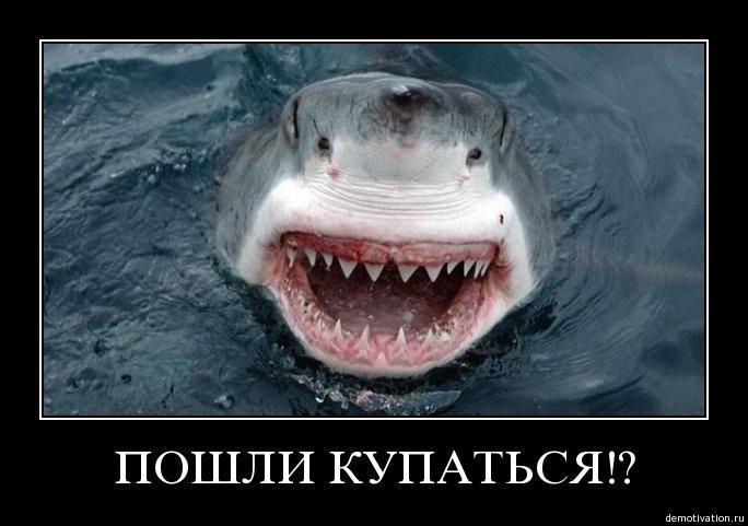 демотиваторы-31961.jpeg