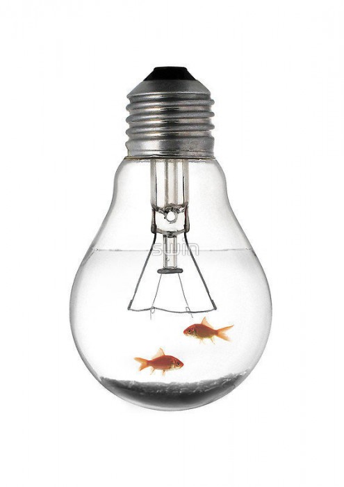 лампа-аквариум-рыбки-36679.jpeg