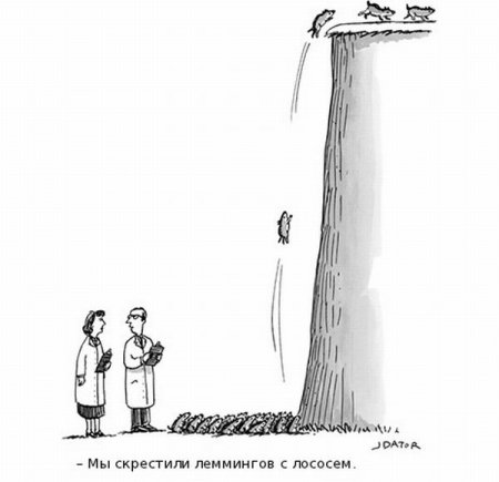 1328347785_cartoon_16.jpg