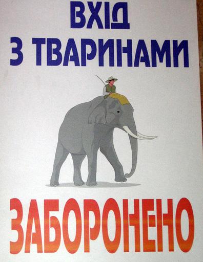 1308855342_funny_pics_35.jpg