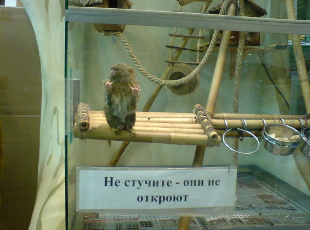 4963755.jpg