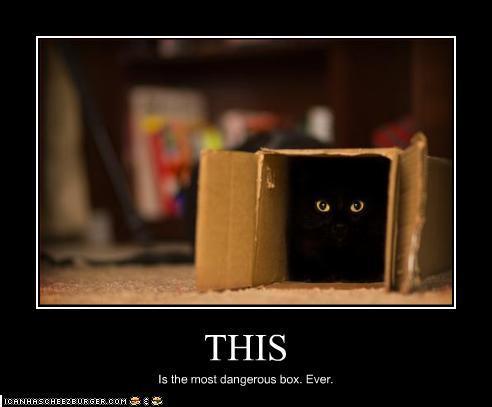 кот-демотиваторы-41233.jpeg