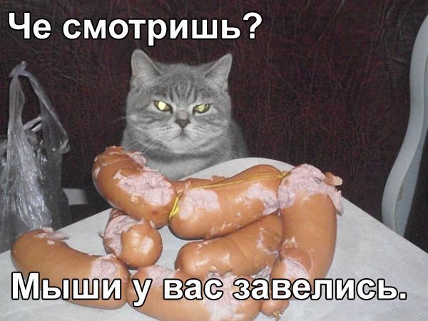 IJm2cIjPRqg.jpg