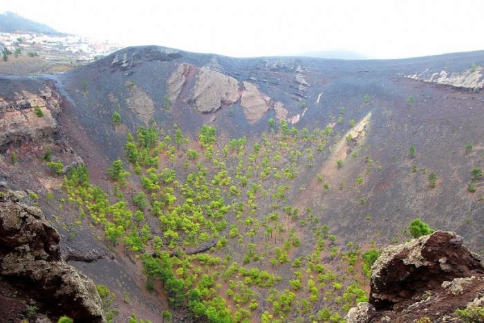 PalmaTenerife131111_195039_LaPalma.jpg