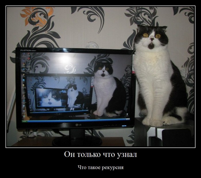 Рекурсия.jpg
