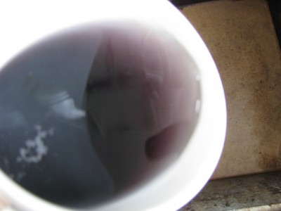 tea_4710.JPG