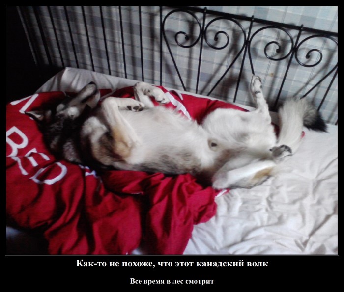 P230713_19.50__01_.jpg