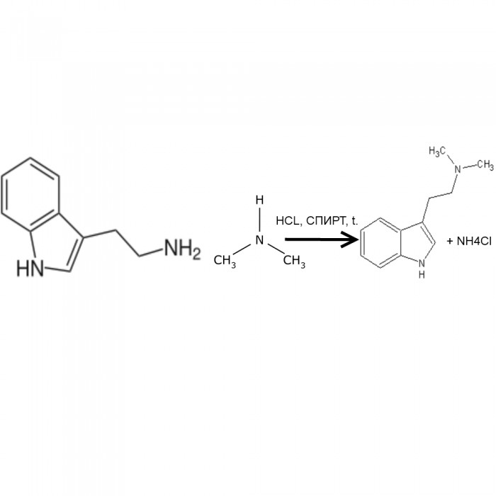 триптаминй (1).jpg