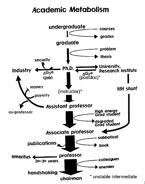 Academicmetabolism[1].jpg