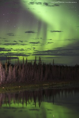 Aurora9.jpg