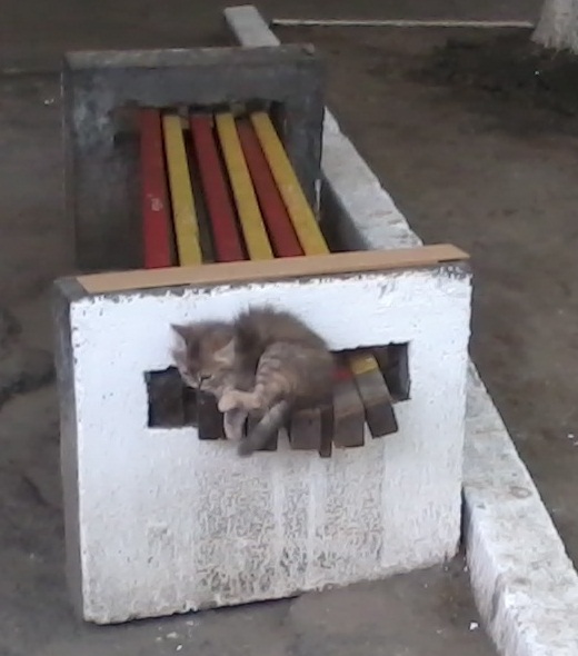 й22.jpg