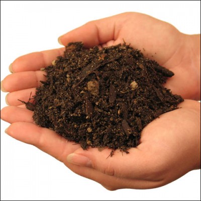 potting_soil.jpg