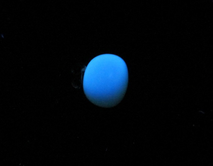 IMG_4786.JPG