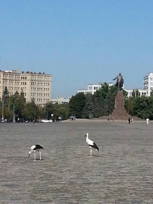 BuBqngKIUAASkJO[1].jpg