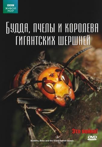 238356_500x800x250[1].jpg