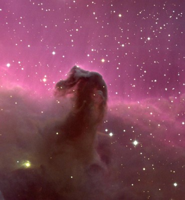 horsehead_noao_big.jpg