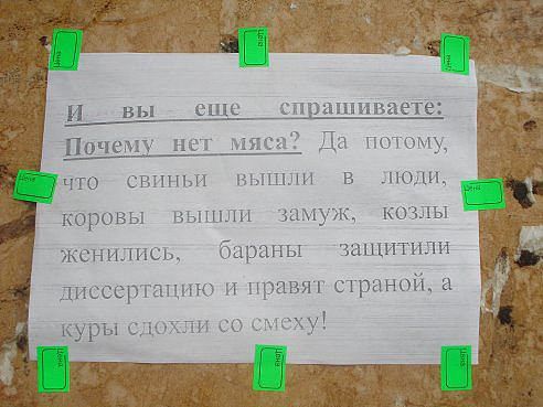 image (1).jpg