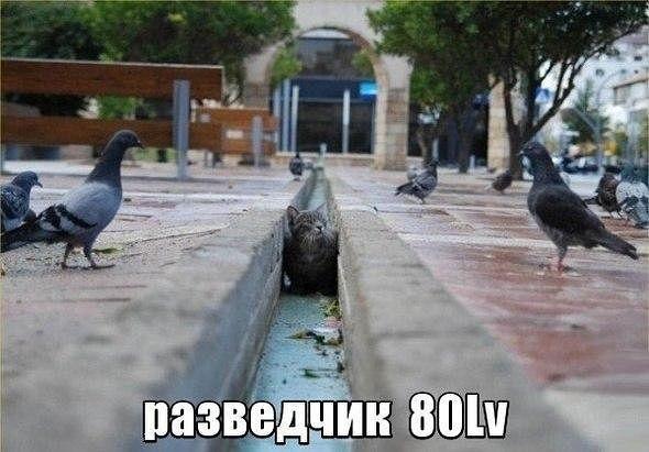 BydwAtnIgAAVKDf[1].jpg