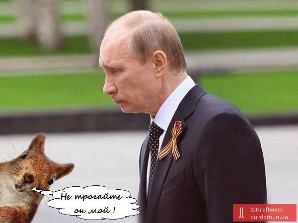 By48b6SIMAALP6O.jpg large.jpg