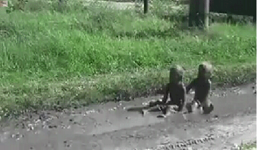 23.gif