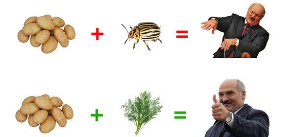 BziOxOZIQAA9Eri.jpg large.jpg