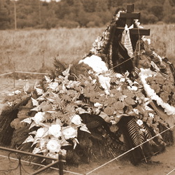 44.jpg