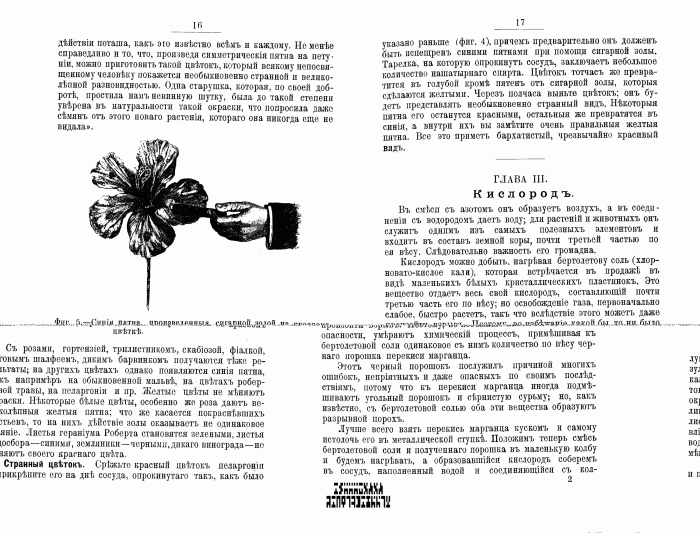 Фэдо Ф. - Химик-любитель - 1898_017.gif