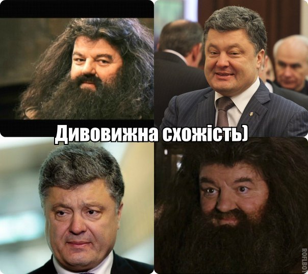 6h021AYNUIk.jpg