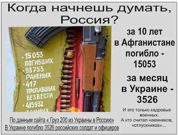 232071568_340238003.jpg