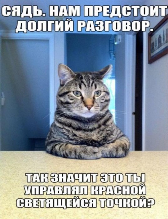 B2yrwwyIEAAy_E_[1].jpg