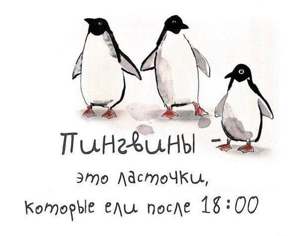 By8dlfiIQAAXr_n[1].jpg